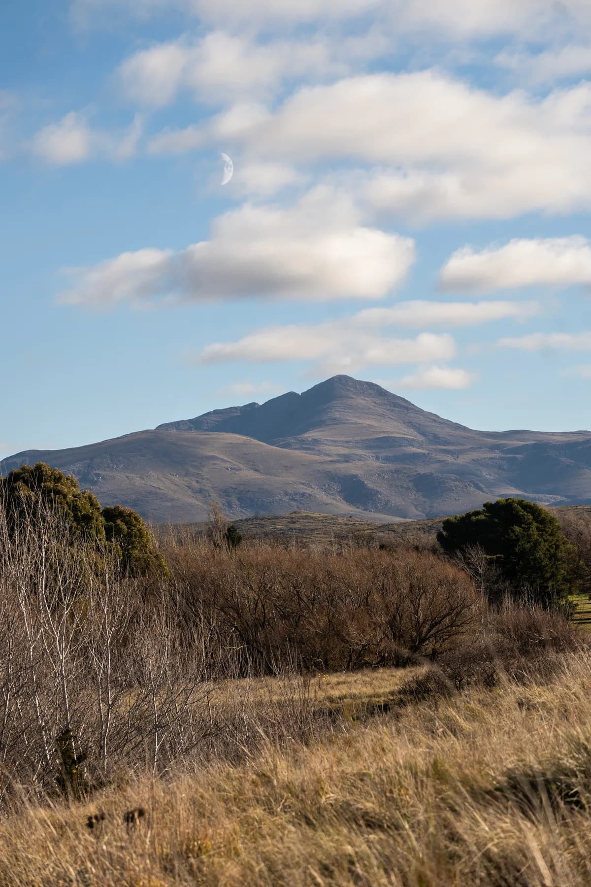 Cerro Tres Picos
